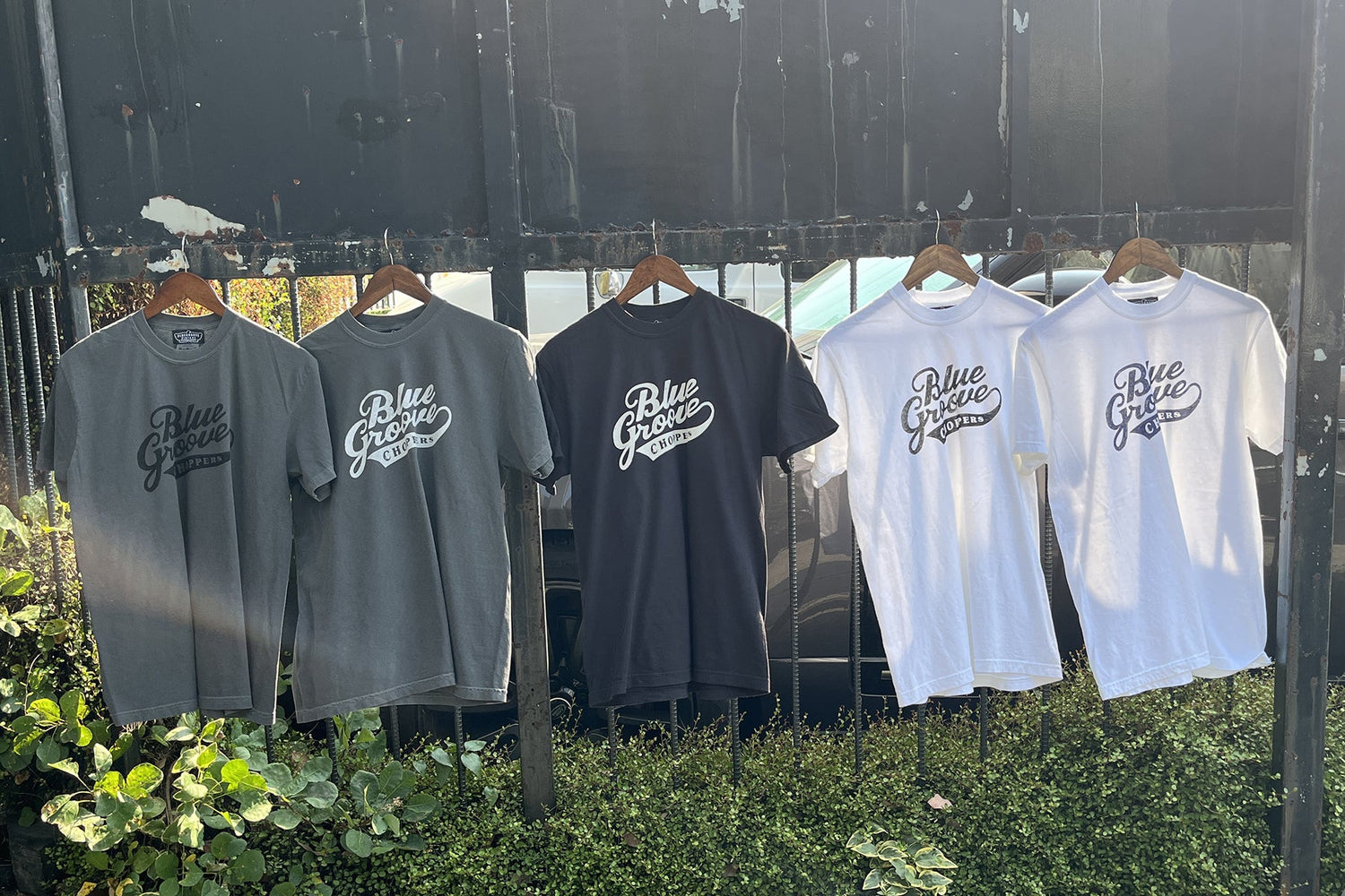 Short Sleeve T-shirts